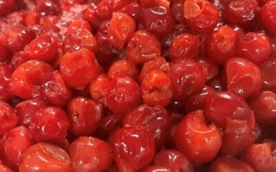 Your Complete Guide to Door County Cherry Season: When & Where to Visit in 2025