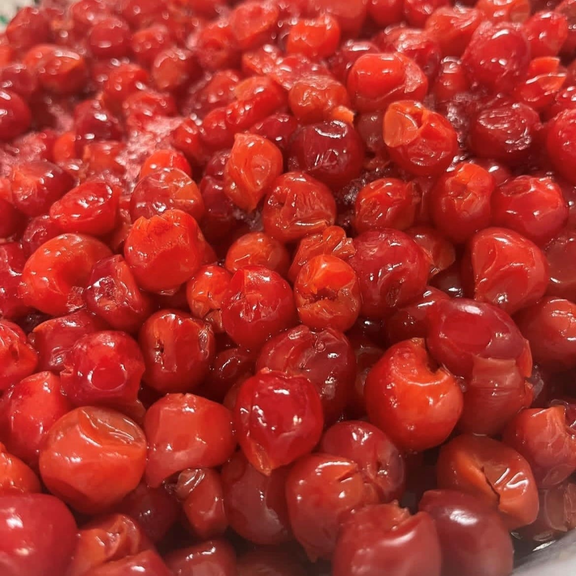 Door County cherry season cherry picking at Door County orchard near Julie's Park Cafe and Motel in Fish Creek Wisconsin
