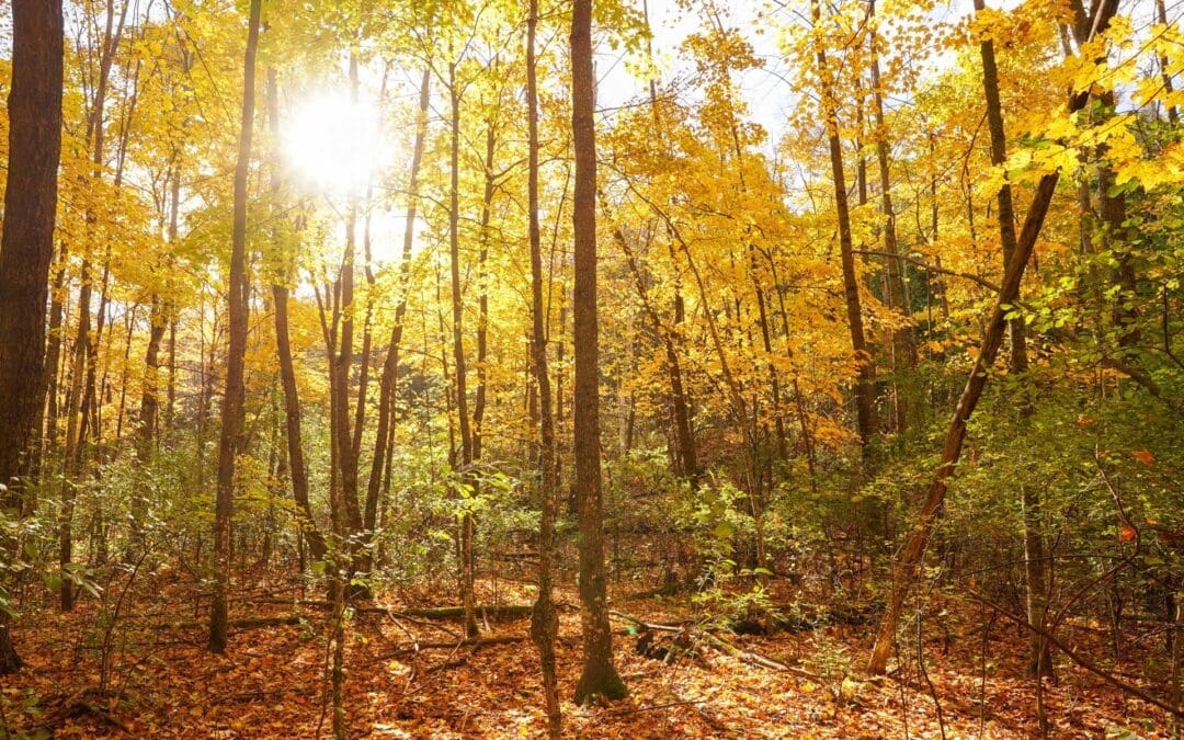 What to do in Door County in October 2025: Your Complete Guide 