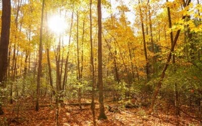 What to do in Door County in October 2025: Your Complete Guide 
