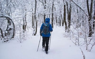 16 Cozy & Unforgettable Things to Do in Door County in Winter